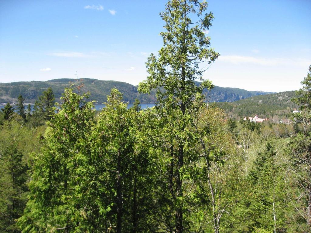 Chalet De La Montagne Villa Tadoussac Bagian luar foto